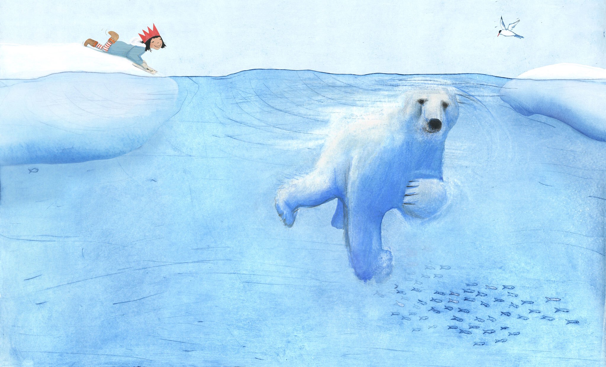 《The Polar Bear》帶給我們北極熊的有趣知識