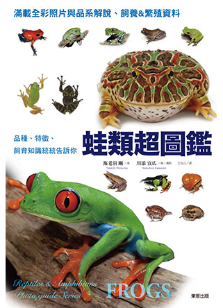 蛙類超圖鑑：品種、特徵、飼育知識統統告訴你