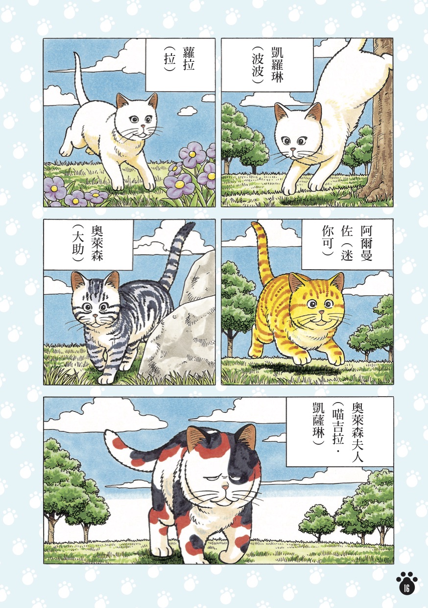 麥可的貓咪夥伴，噸位驚人的喵吉拉可是「女士」呢！
（圖／《貓咪也瘋狂（全彩特別篇）》小林誠 / 漫遊者文化 ©Makoto Kobayashi / Kodansha Ltd.）