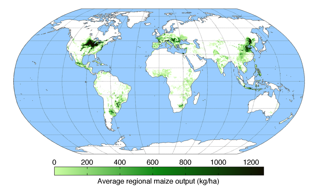 英倫群島上的玉米田不多，由這張2011年全球玉米產量分布圖可見一斑。