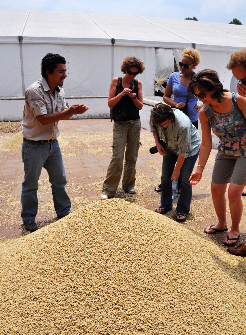 瓜地馬拉咖啡農場是觀光客必訪之地，但農場烘焙出來的咖啡在地人多半喝不起