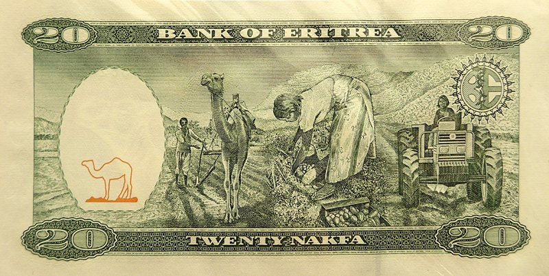 在1997年發行的厄利垂亞20納克法（Nakfa）中，可見駱駝被用於協助屯墾