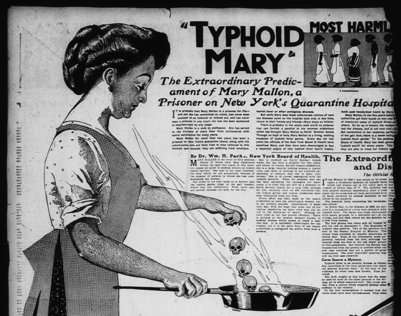 1909年傷寒瑪莉在報紙上的插圖