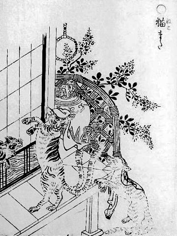 「貓又」為日本傳說中的妖怪（圖來自wiki，Ⓒ鳥山石燕）