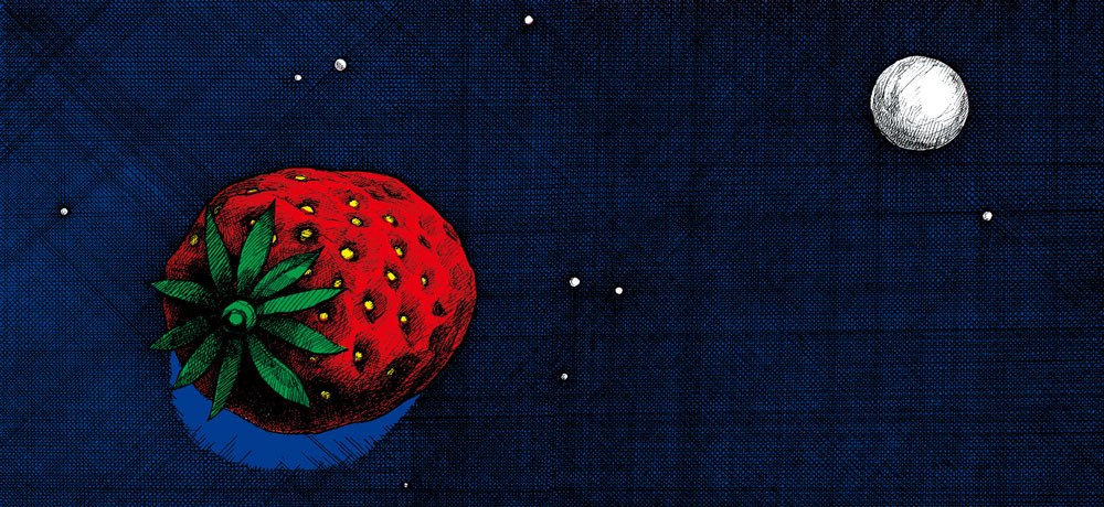 新宮晉用一顆草莓，詮釋了在我們身周流動不息、肉眼難辨的生機循環，還有一份「等待哲學」（圖／玉山社提供）