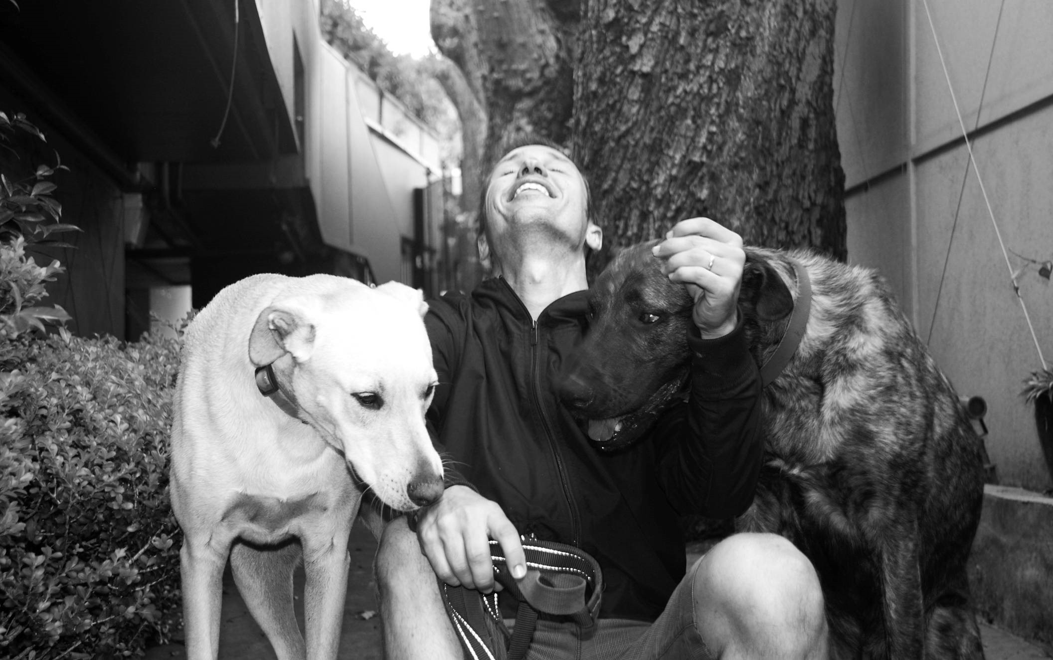 馬格斯‧朱薩克與愛犬魯賓和亞契 (照片由作者授權提供)