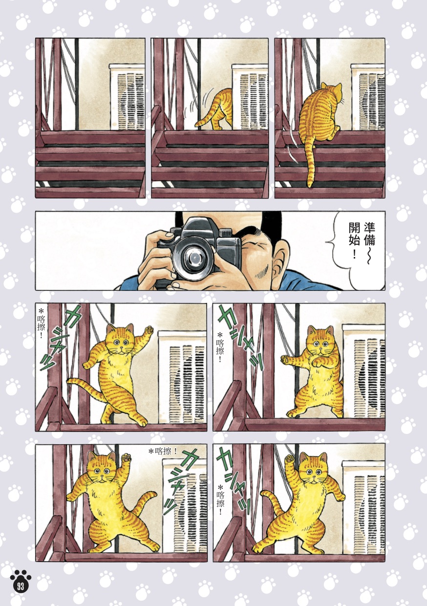 主角「麥可」是一隻會跳舞的虎紋短毛橘貓，經常有出乎意料之外的動作。
（圖／《貓咪也瘋狂（全彩特別篇）》小林誠 / 漫遊者文化 ©Makoto Kobayashi / Kodansha Ltd.）