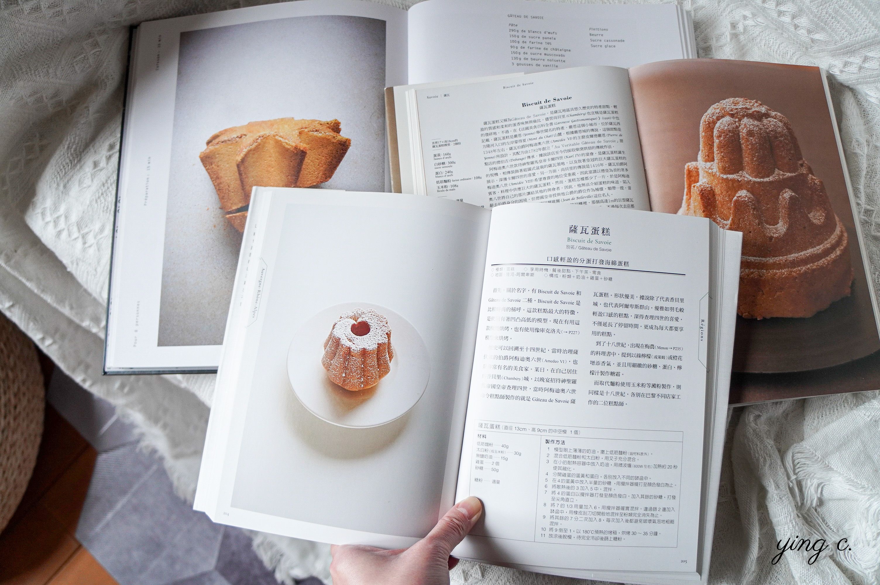 《法式糕點百科圖鑑》介紹了不同種類店家中的各種經典法式甜點，讓人能夠輕鬆地一窺內涵豐富的法式甜點堂奧。
