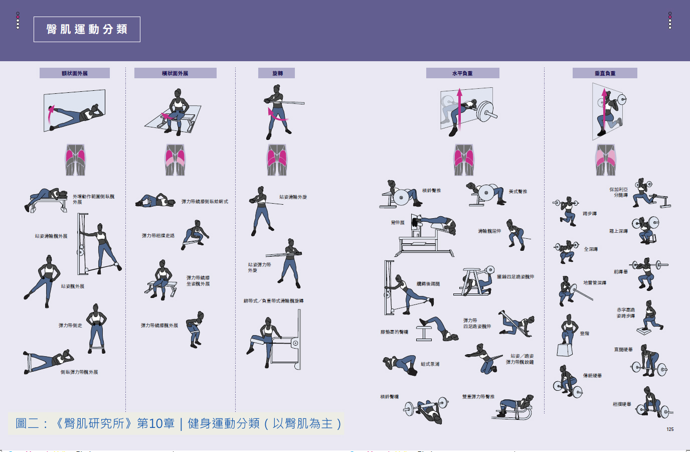 圖二：《臀肌研究所》第10章｜健身運動分類