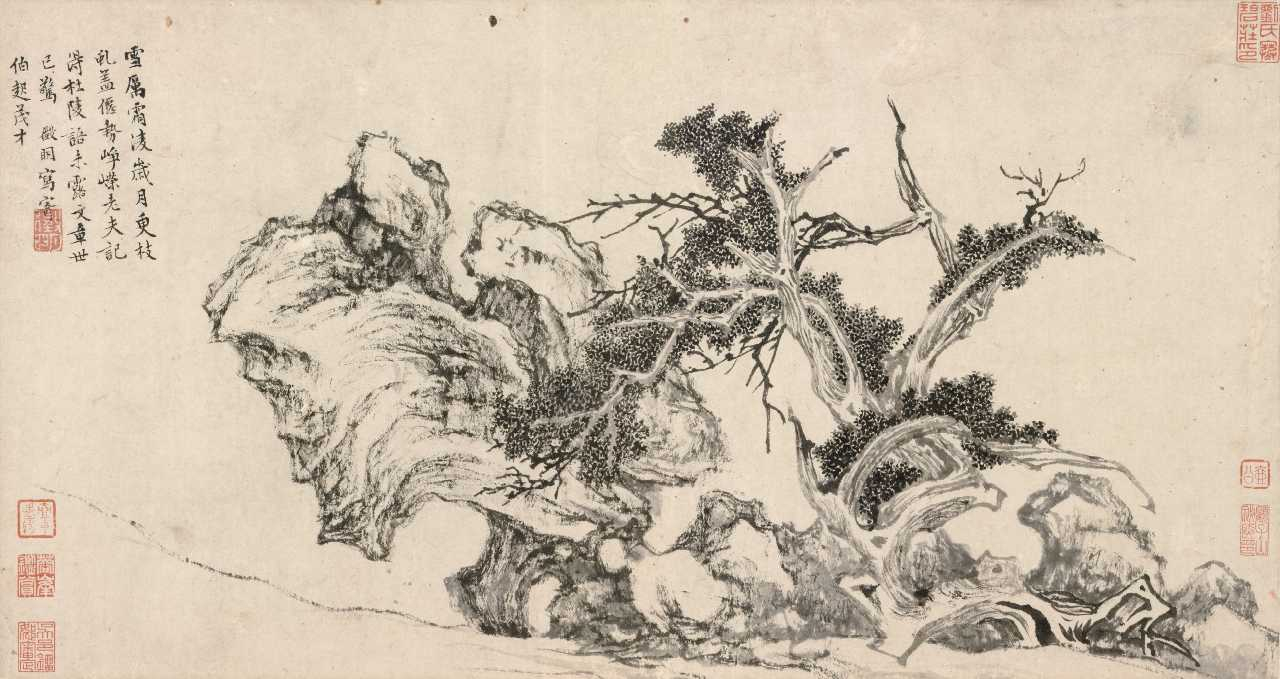 ◎圖二：明　文徵明　《古柏圖》　1550 年　卷　紙本水墨　26.04×48.9 公分　納爾遜- 阿特金斯美術館藏（Nelson-Atkins Museum of Art）