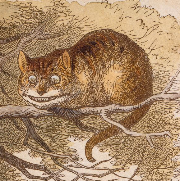 英國作家路易斯·卡羅文學作品《愛麗絲夢遊仙境》中的貓。（圖／wiki）