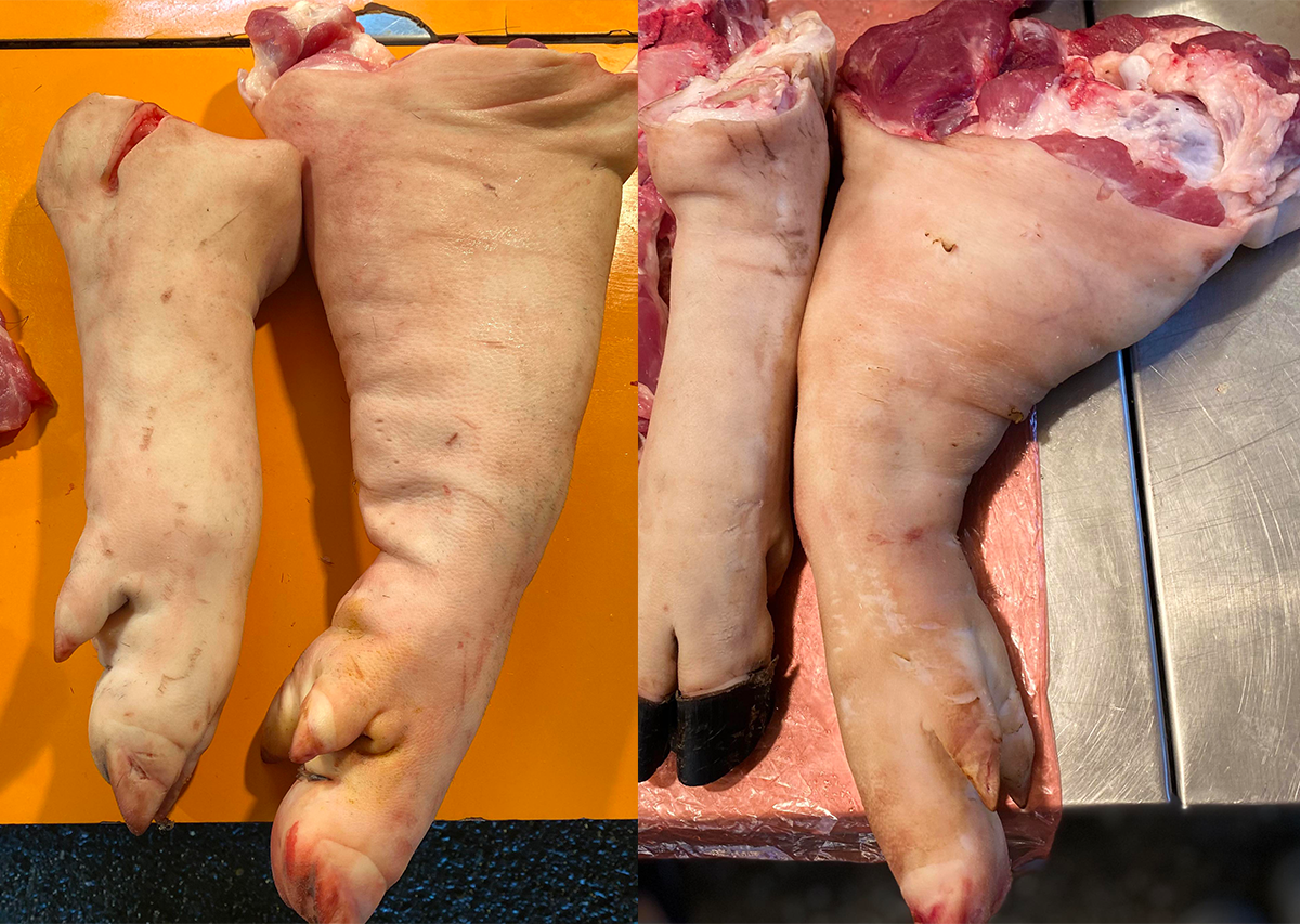 左圖為豬前腳，右圖為豬後腿。去霉運吃豬腳，就要吃強健有力的後腿腳，象徵把霉運一腳踢開。