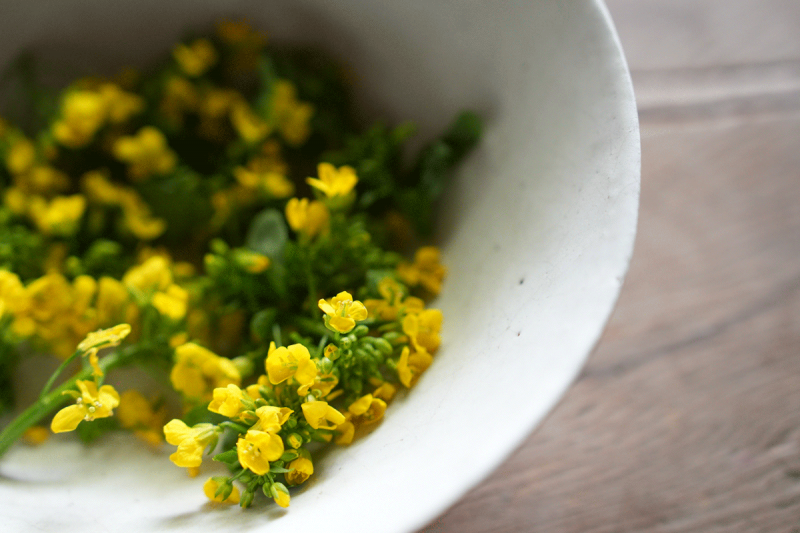 嚐著淺淺的鹽香味的油菜花漬，在我心中開出一片盈黃的花田。