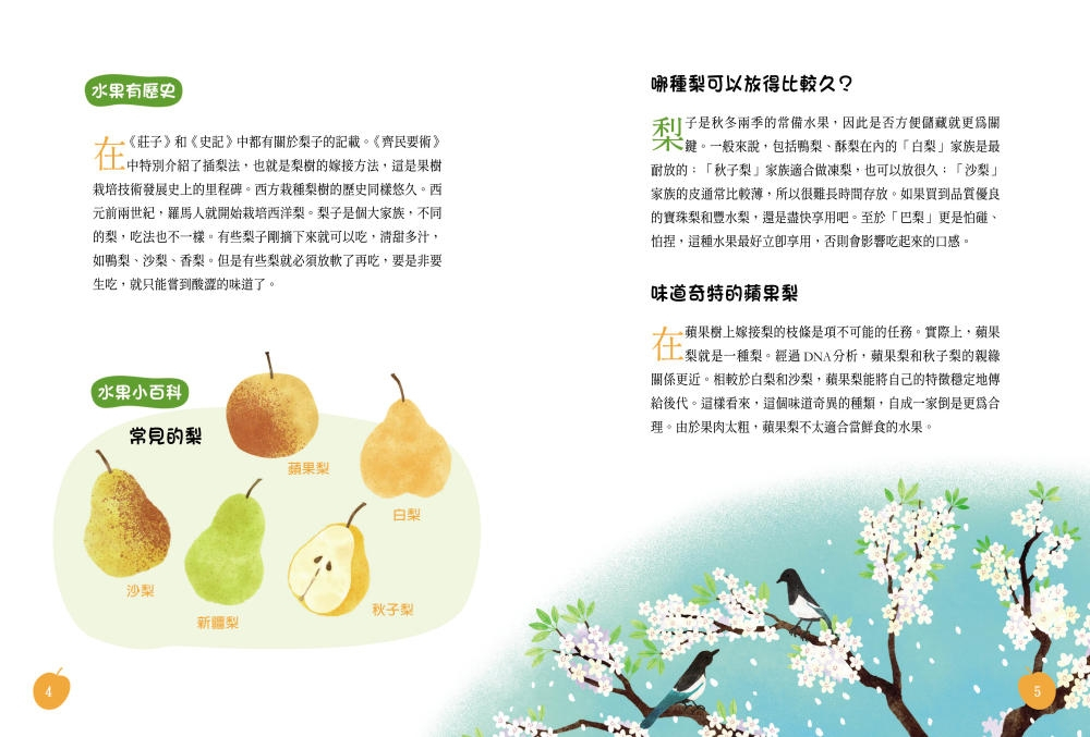 (圖片來源：《梨子吃起來為什麼沙沙的？：古詩詞裡的自然常識2【水果篇】》晴好出版)