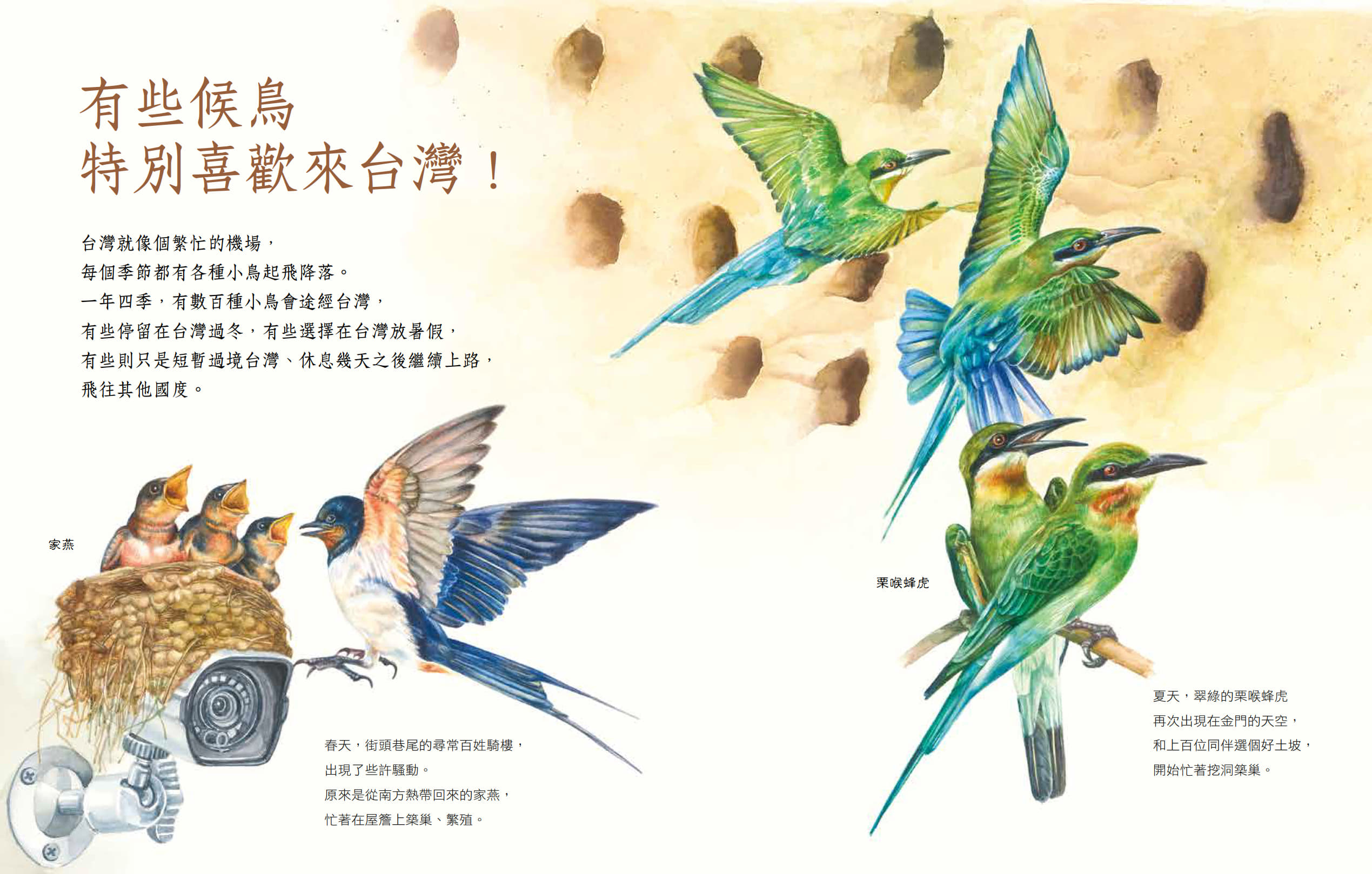 一年四季，有數百種候鳥會途經台灣，牠們就像是來自遠方的旅人