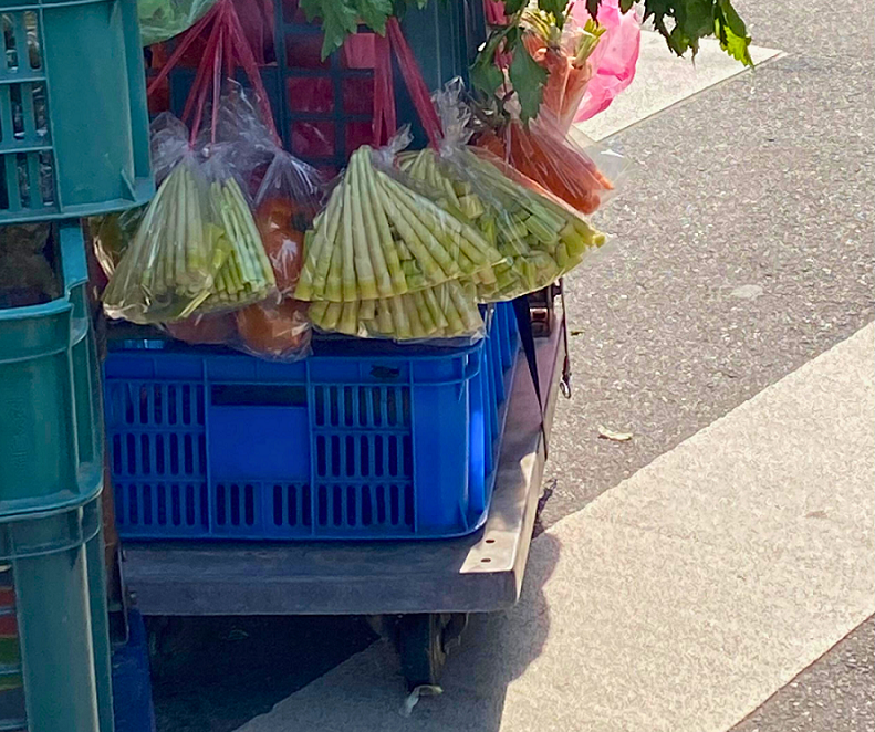 台灣的菜市場常見這樣的推車小攤販賣當季蔬菜，停下來挖寶常有驚喜發現。圖為去殼後的箭筍。