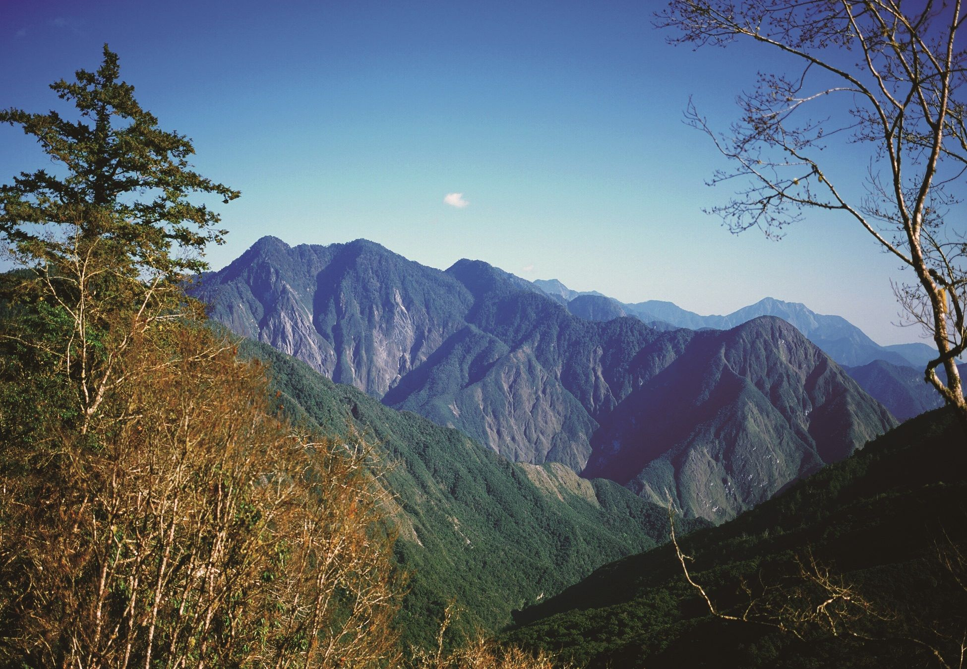 圖說：三號索道頭後的鐵道上，北望三棧溪流域與高大的豬股山、人道山，後方則為三角錐山與清水大山。